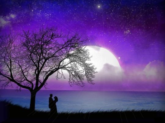 Free download Excite Wall Beautiful Love Computer and Laptop Wallpaper 