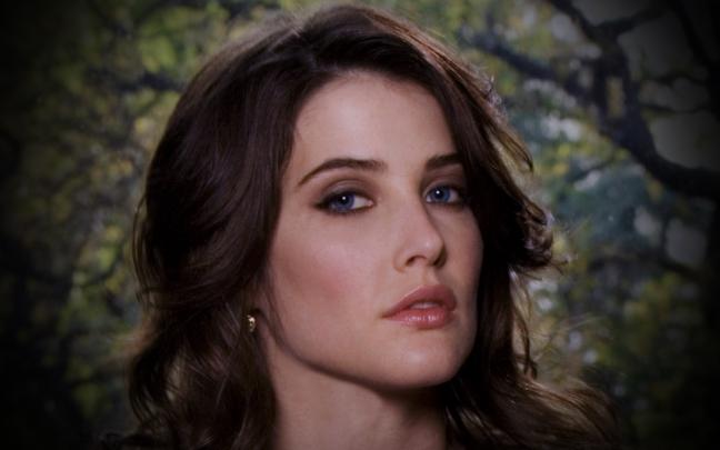 4k Ultra HD Wallpaper: Cobie Smulders HD Wallpapers