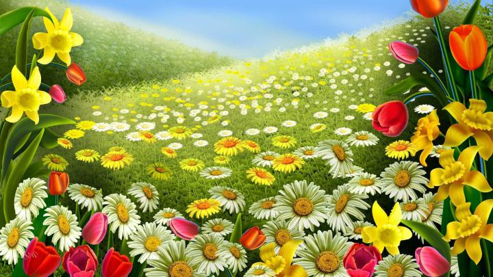 Desktop Wallpaper Spring Flowers \u00b7\u2460 