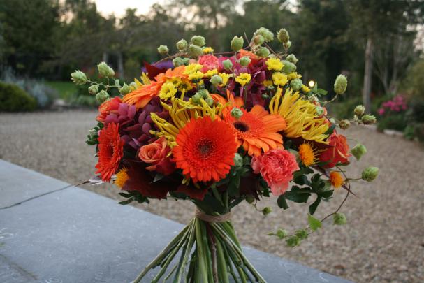 Autumn Flower Wallpapers Images Photos Pictures Backgrounds