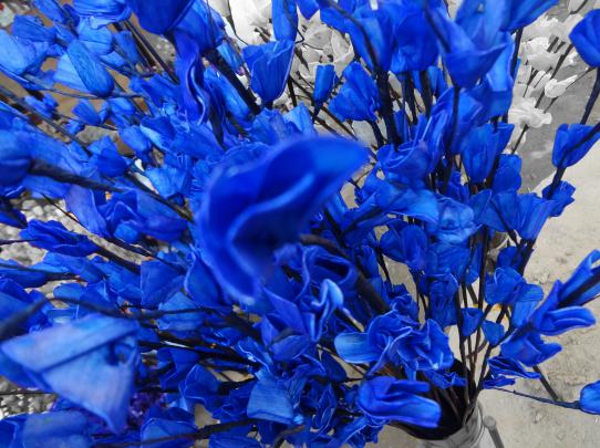 Blue Flowers Wallpapers Images Photos Pictures Backgrounds