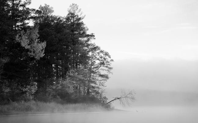 Black and White Wallpapers High Quality | Download Free