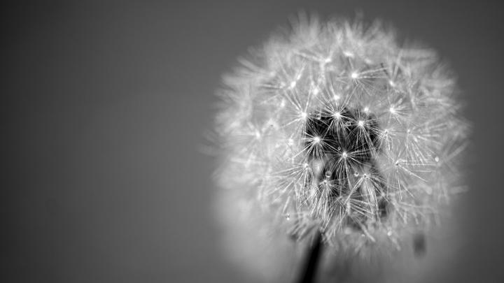 Black and white wallpapers HD free download