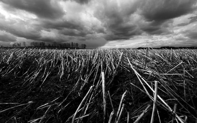 Best Wallpaper Collection: Best black and white wallpapers