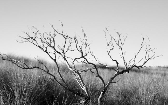 Best Wallpaper Collection: Best black and white wallpapers