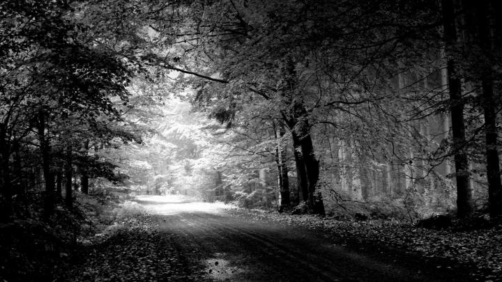 Black and White Wallpaper Desktop \u00b7\u2460 