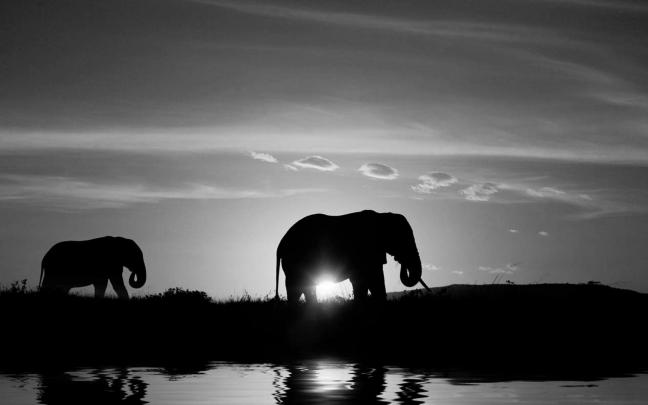 Black and White Desktop Backgrounds (80+ images)