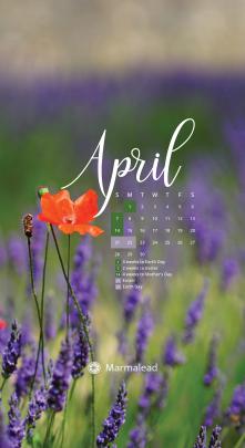 Desktop Calendar Wallpaper 2019 - february 2019 hd desktop wallpaper 