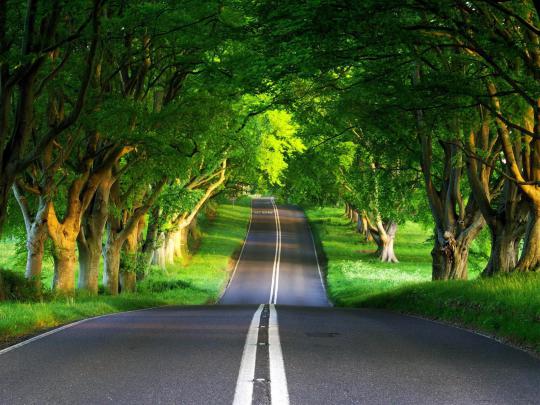 Background wallpapers free download - SF Wallpaper