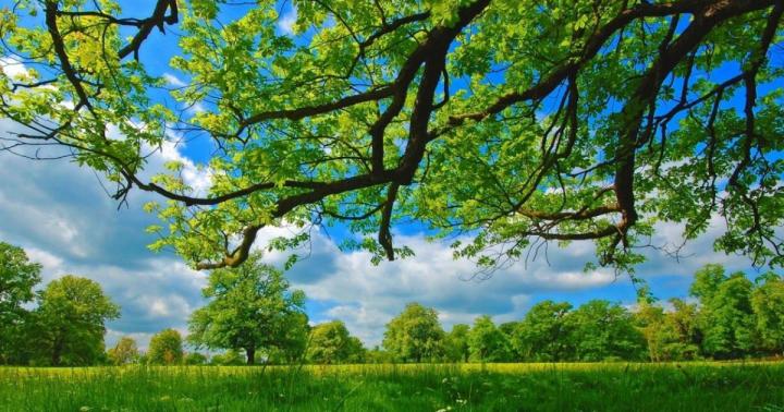 16 Hd Nature Wallpapers For Computer- Home latest wallpapers top 