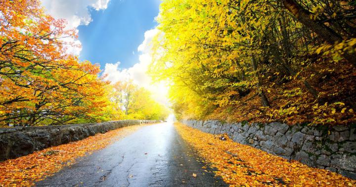 10+ Desktop Hd Nature Wallpapers 1080p Wallpapers Download - Basty 