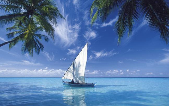 Free Download HD Nature Wallpapers