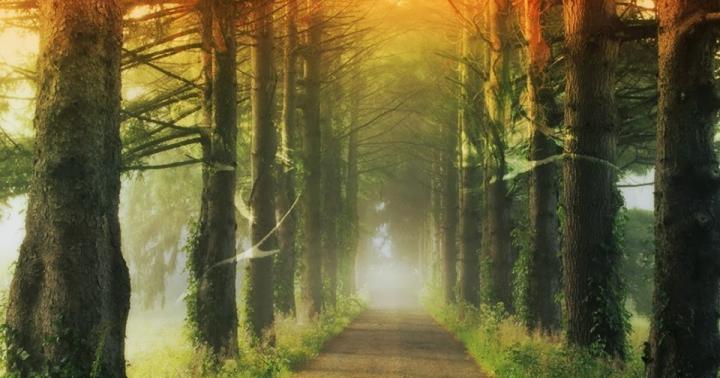 Beautiful HD Nature Wallpapers and Backgrounds - Desktop : National-Geo 