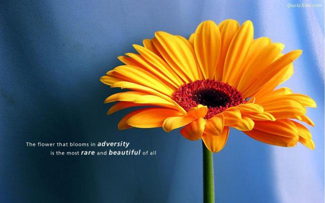 Motivational Quote Backgrounds