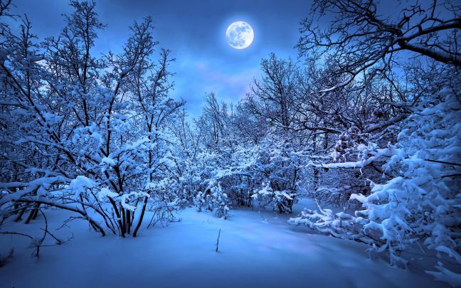 Winter Desktop Wallpapers (71+ background pictures)