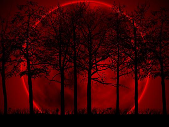 Black and Red Desktop Wallpaper -