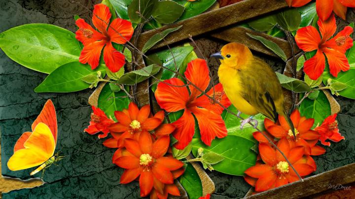 Bright flower wallpaper - beautiful desktop wallpapers 2014