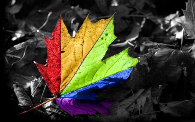 bright wallpapers hd - HD Desktop Wallpapers