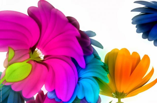 Bright flower wallpaper - beautiful desktop wallpapers 2014