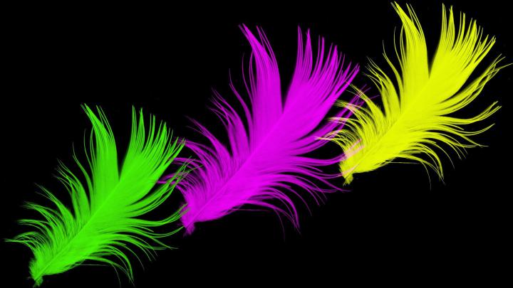Bright Color Wallpaper for Desktop