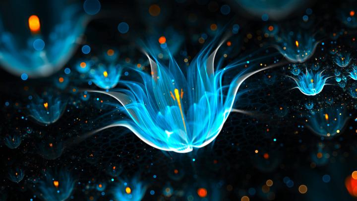 Free Download Wallpaper HD 1080p
