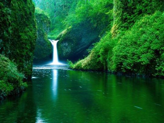 Nature hd pictures background new 2013 free download ~ Fine HD 