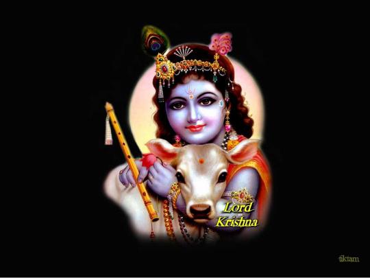 HINDU GOD LORD KRISHNA NEW HD WALLPAPERS ~ HD WALLPAPERS