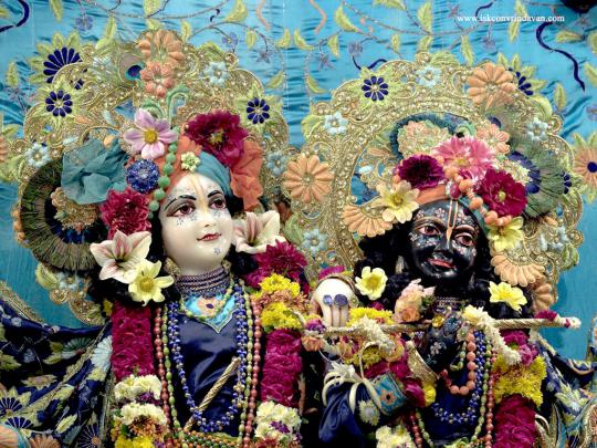 Udaipur Web Design: shri krishna live wallpaper HD Desktop Background 