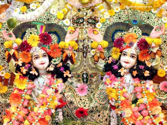 Web Design Company in Udaipur: shri krishna live wallpaper HD Desktop 