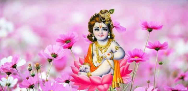 Top 35+ Best Beautiful Lord Krishna HD Wallpaper Images Photos Pictures 