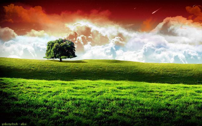 Free Large Screen Wallpapers -