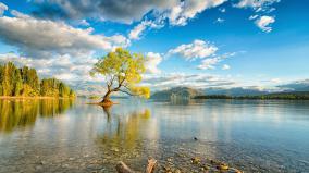 Desktop Hd Nature Wallpapers 1080p