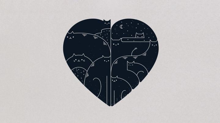 heart, Minimalism, Cat Wallpapers HD \/ Desktop and Mobile Backgrounds
