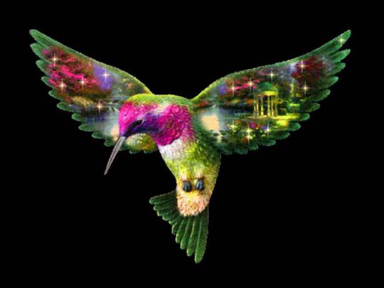 [46+] Free Hummingbird Desktop Wallpaper 