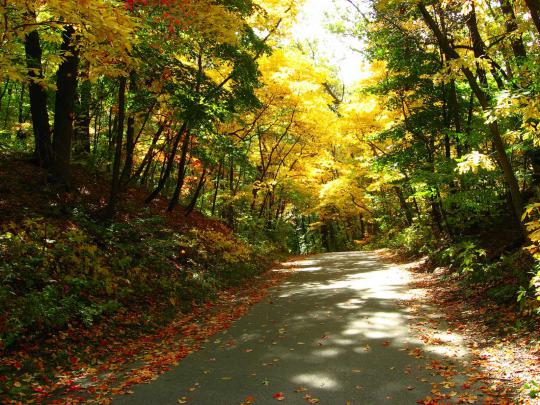 Autumn Screen Wallpapers