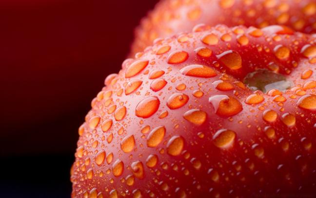 Macro wallpapers for Android. Wallpapers on desktop