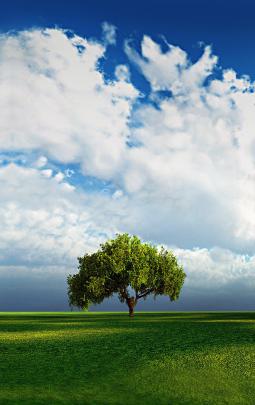 1200x1920 Vertical Wallpapers HD -