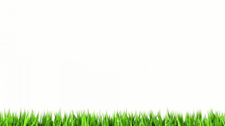 White Desktop Backgrounds