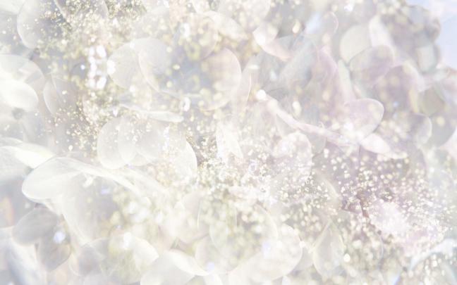 White Desktop Background - Wallpaper, High Definition, High Quality 