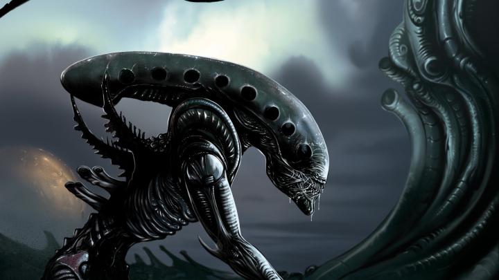 Alien Movie Wallpaper -