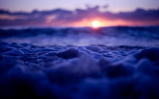 nature, Sun, Macro Wallpapers HD \/ Desktop and Mobile Backgrounds