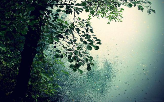 Raindrops Desktop Wallpapers