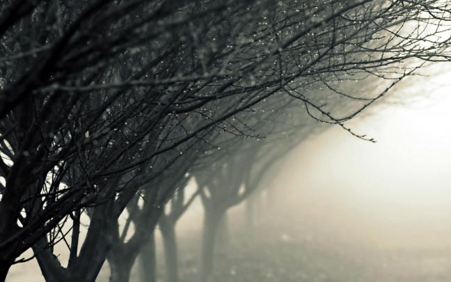 Wallpapers Of Raindrops