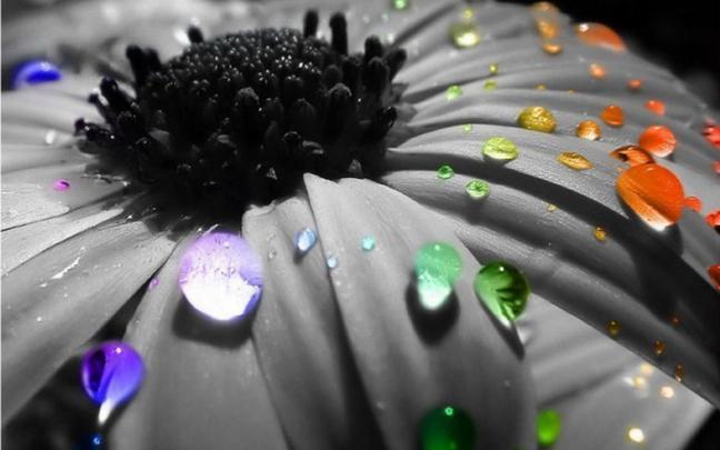 RainDrops - Bright Colors Wallpaper (18125669) - Fanpop