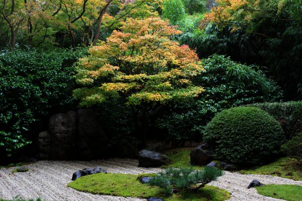[49+] Zen Garden Wallpaper Desktop 