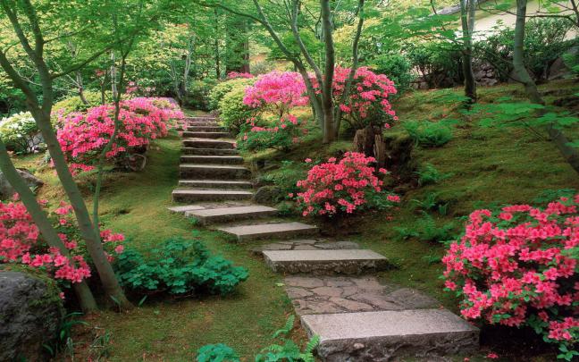 Zen Garden Wallpaper (45+ images)