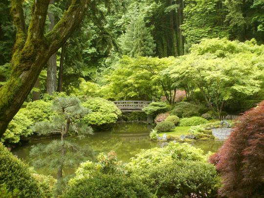 Zen Garden Wallpapers