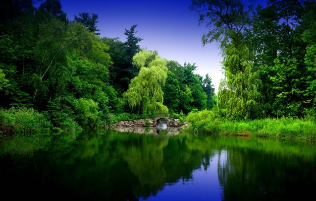 Zen Garden Wallpapers