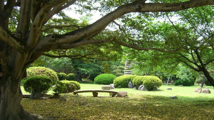 Zen Garden Wallpapers (65+ background pictures)
