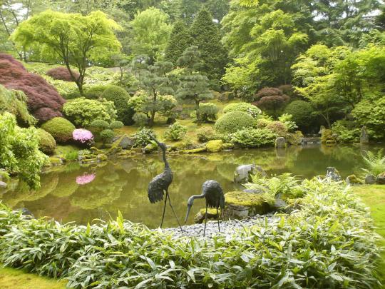 Zen Garden Wallpapers